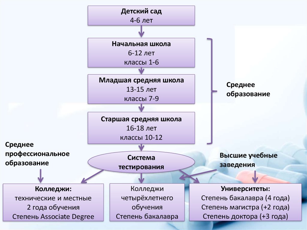 Система образования презентация. Система образования в США схема. Структура образования в США схема. Медицинское образование в США структура. Система мед образования в России.