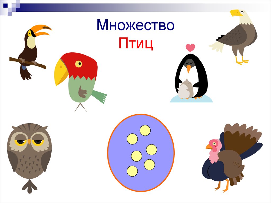 Множество Птиц