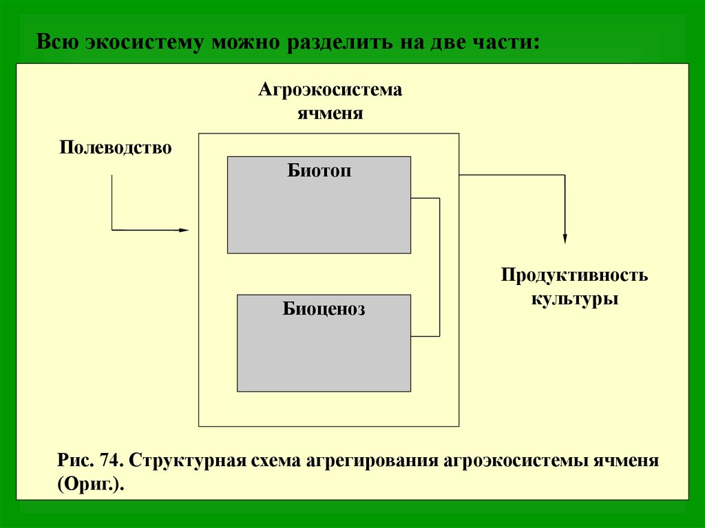 Агроэкосистема. Схема функционирования агроэкосистем. Схема агроэкосистемы. Составление схемы агроэкосистемы. Схема функционирования агроэкосистемы.