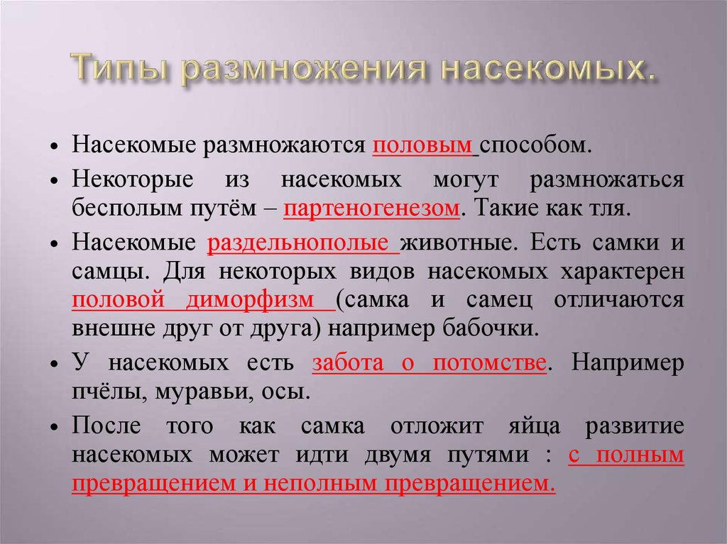 Насекомые размножение. Способы размножения насекомых. Для насекомых характерно размножение. Насекомые размножаются половым путем. Способ размножения насе.