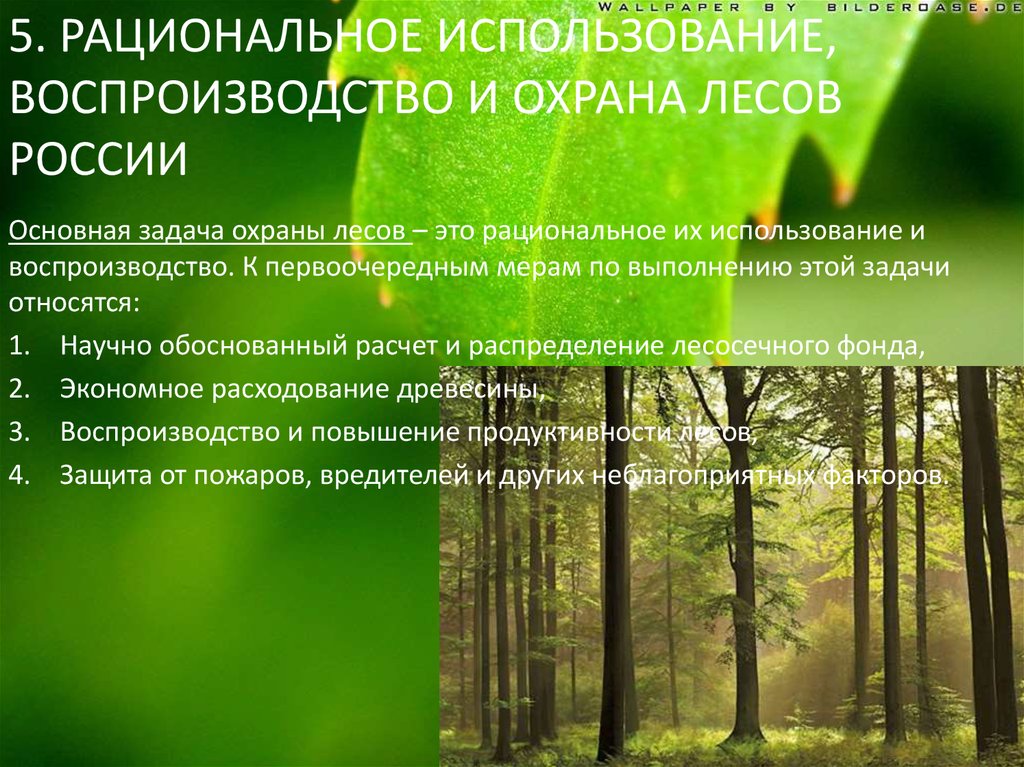 Современное состояние природопользования и экологическая ситуация в крыму презентация