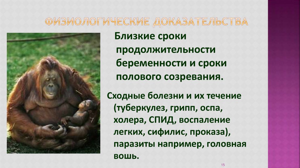 Ближайший период. Физиологические доказательства эволюции. Физиологические доказательства происхождения человека. Физиологические доказательства происхождения человека от животных. Физиологические доказа.