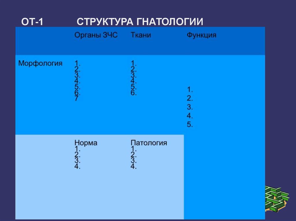 Структура 1. Структура 1с. Гнатология презентация. Цели гнатологии. Гнатология это определение.