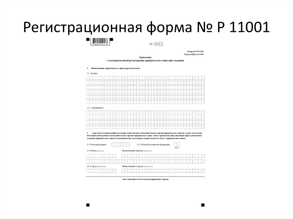 Регистрационная форма № Р 11001