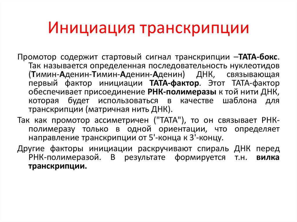 Жизненные инициации. Этапы транскрипции инициация элонгация терминация. Стадии инициации транскрипции. Процесс инициации транскрипции. Транскрипция РНК инициация.