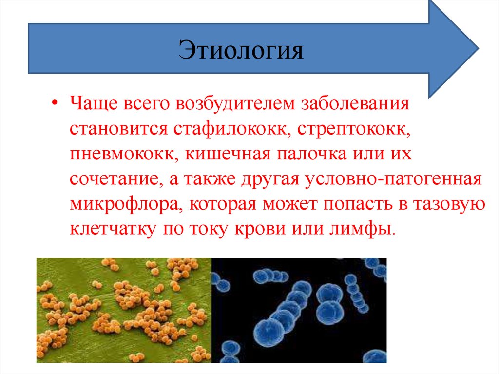 Какое заболевание вызывает стафилококк. Стафилококк стрептококк Протей. Staphylococcus epidermidis болезнь. Стафилококки стрептококки кишечная палочка. Стрептококк кишечная палочка.