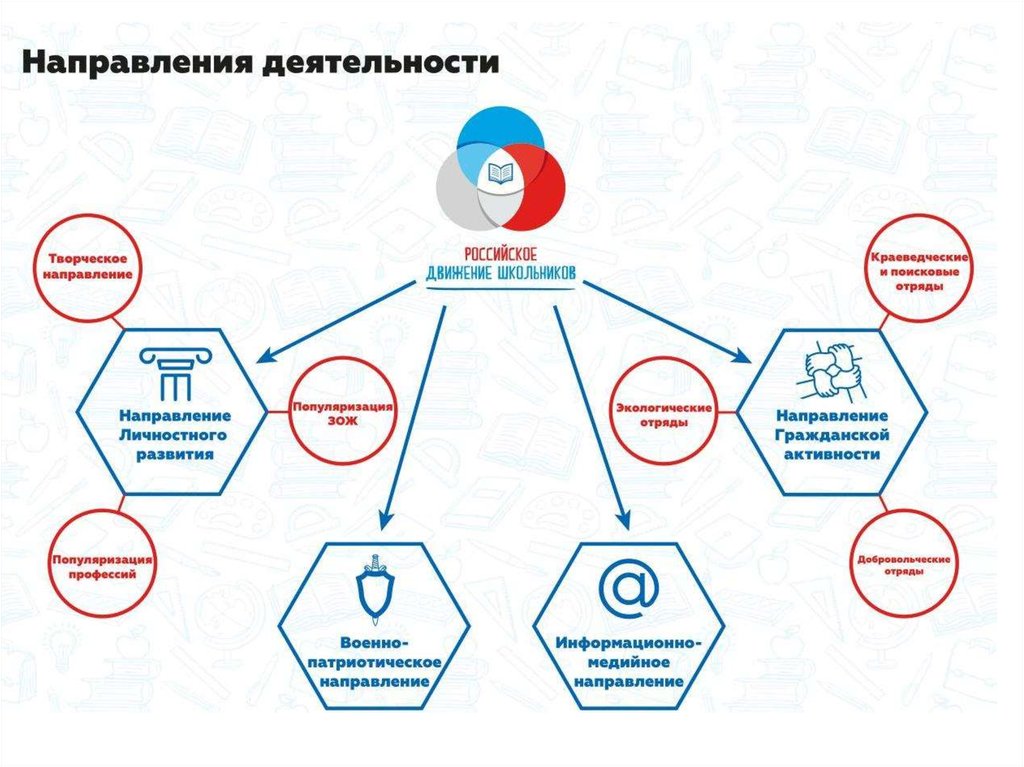 Структура рдш в школе схема