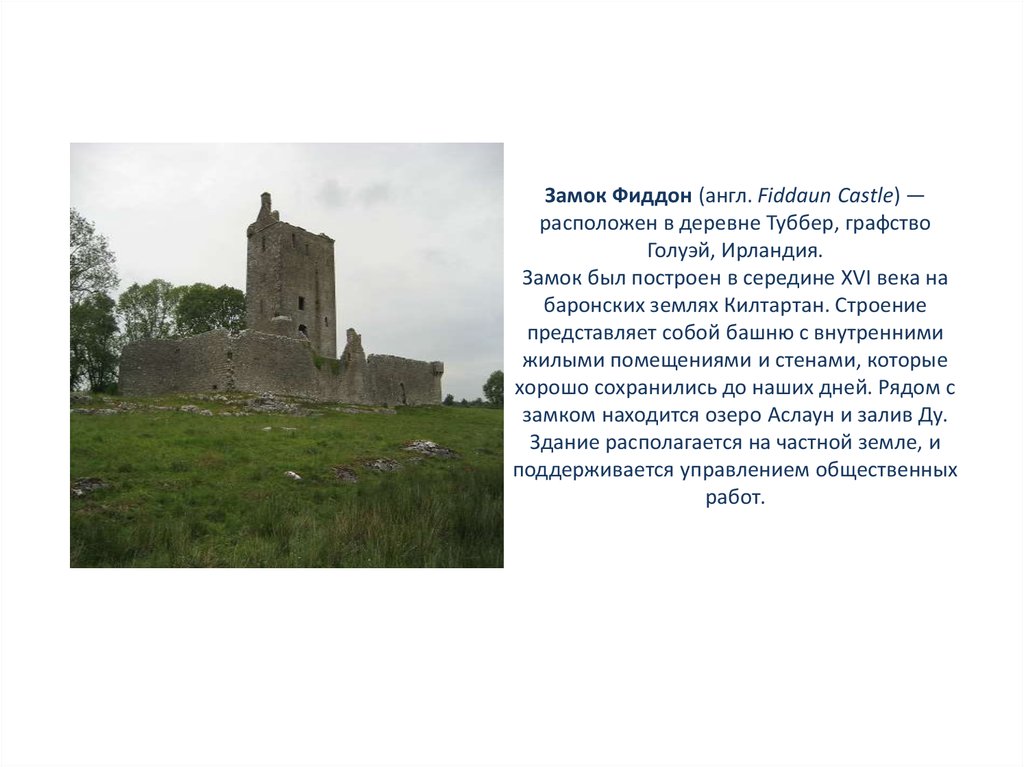 Замок Фиддон (англ. Fiddaun Castle) — расположен в деревне Туббер, графство Голуэй, Ирландия. Замок был построен в середине XVI