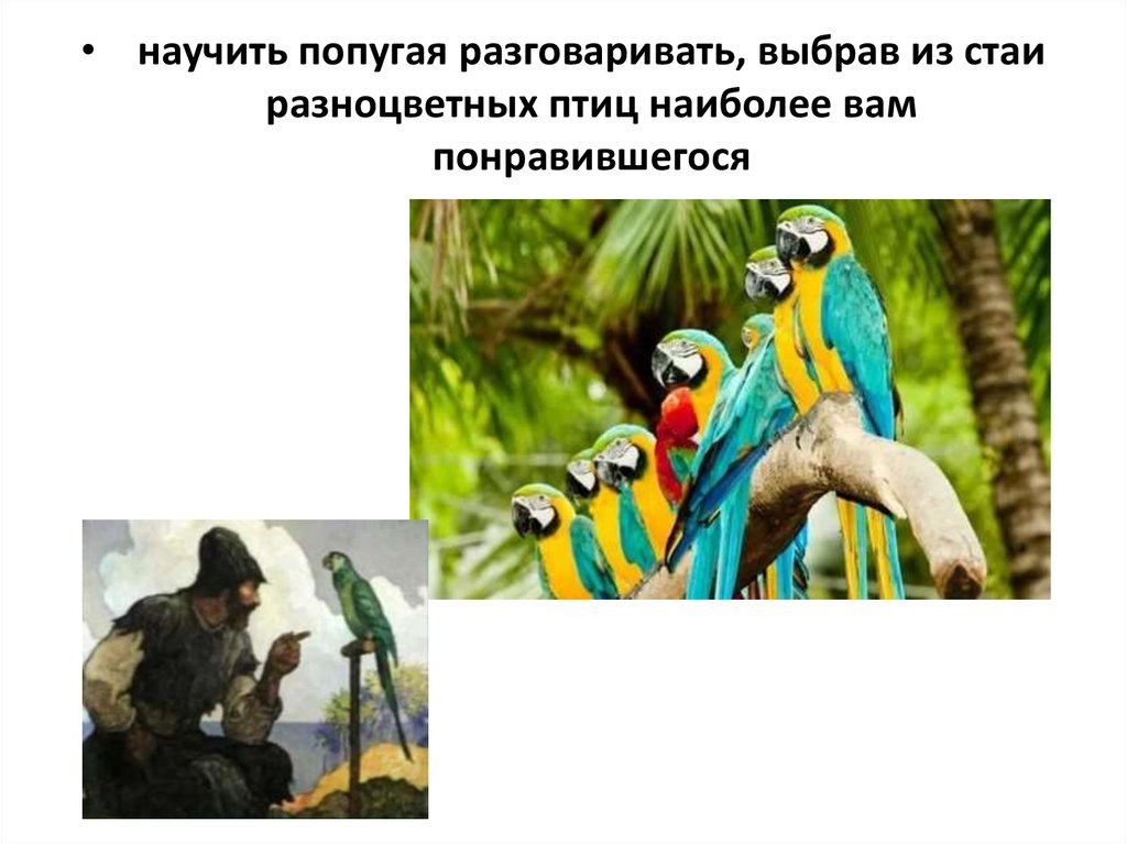 Почему попугаи говорят