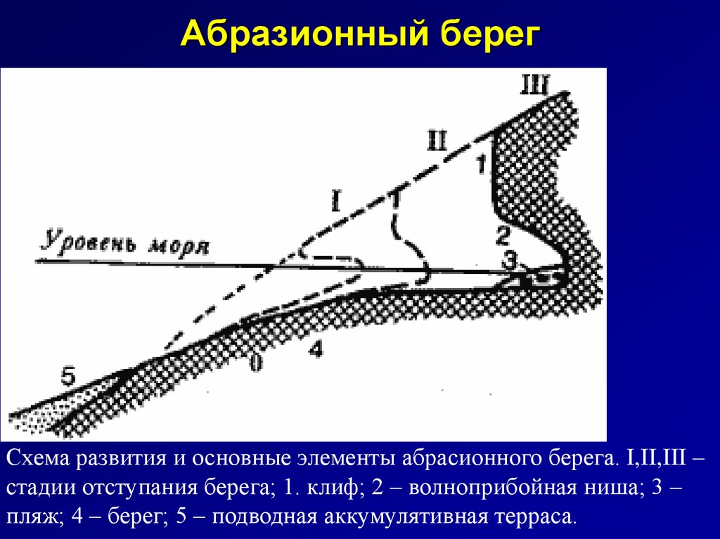 Берег схема. Строение абразионного берега. Абразионный берег схема. Аккумулятивный берег схема. Абразия берегов схема.