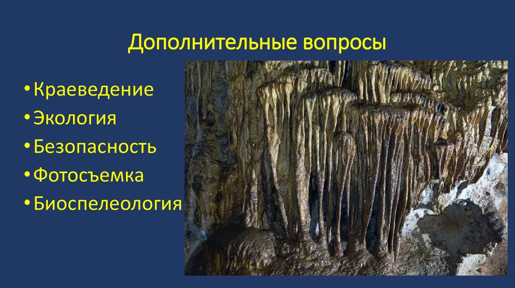 Дополнительные вопросы