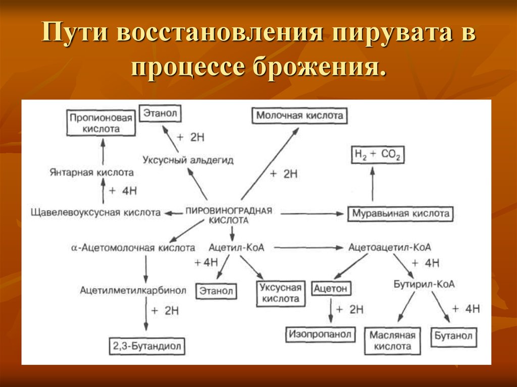 Путь восстановления. ‏Пути образования и использования пировиноградной кислоты (схема). Пути использования пировиноградной кислоты. Пути образования пировиноградной кислоты. Пути образования и использования пировиноградной кислоты биохимия.