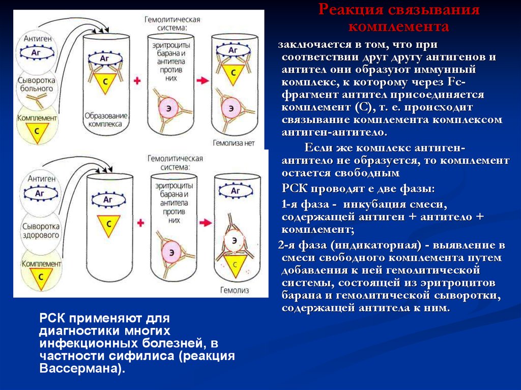 Реакция связывания комплемента микробиология. Реакция связывания комплемента РСК 1 фаза 2 фаза. Реакция связывания комплемента вирусов. Реакция связывания комплемента РСК. Сыворотка гемолитическая для реакции связывания комплемента.