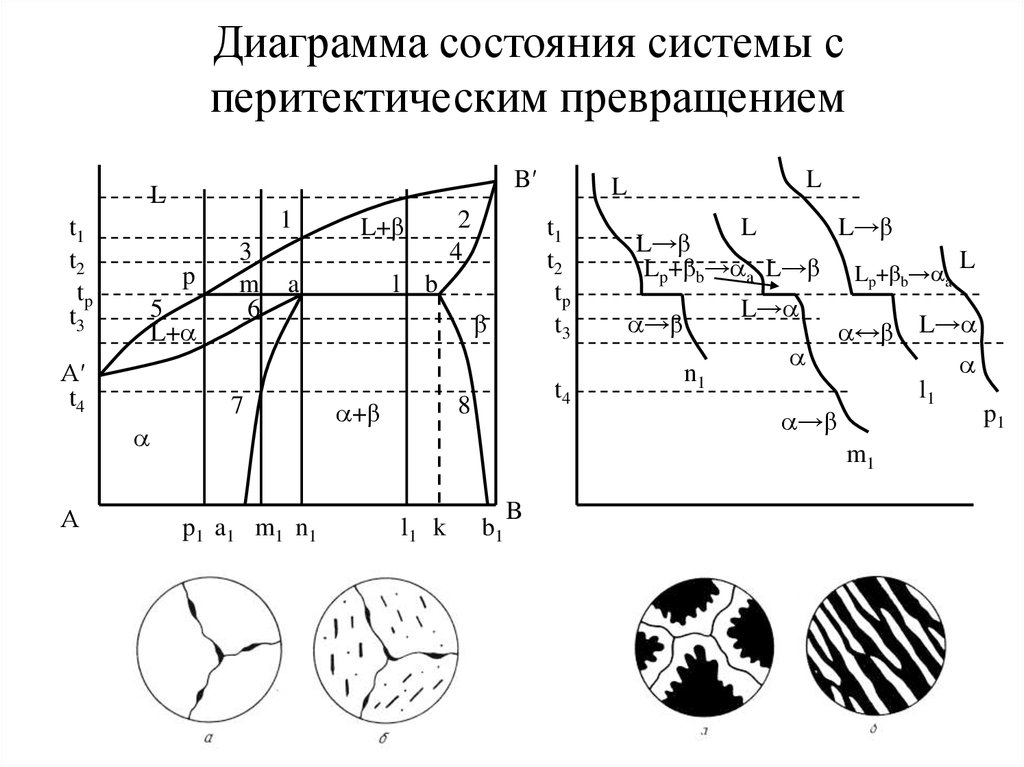 График состояний. Диаграмма состояния системы перитектического типа. Диаграмма состояния с перитектическим превращением. Диаграмма состояния систем с перитектическим равновесием. Перитектическое превращение на диаграмме.