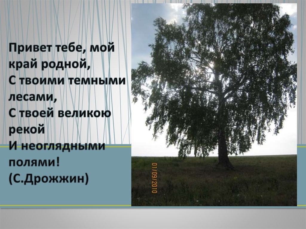 Привет тебе, мой край родной, С твоими темными лесами, С твоей великою рекой И неоглядными полями! (С.Дрожжин)