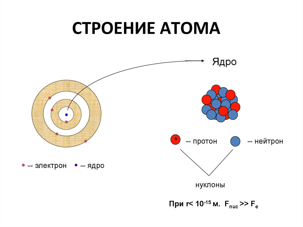 Из чего состоит протон атома. Строение ядра атома кратко. Атомное ядро, его состав и строение.. Строение ядра Протон и электрон. Строение ядра атома физика.