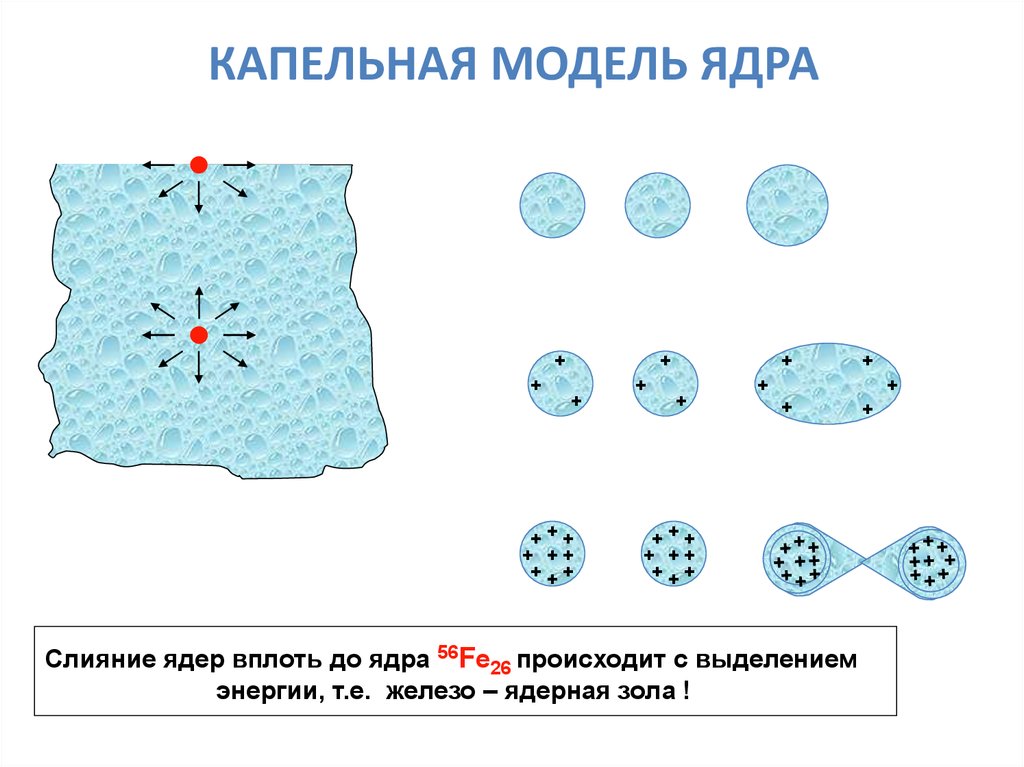 Капельная модель ядра