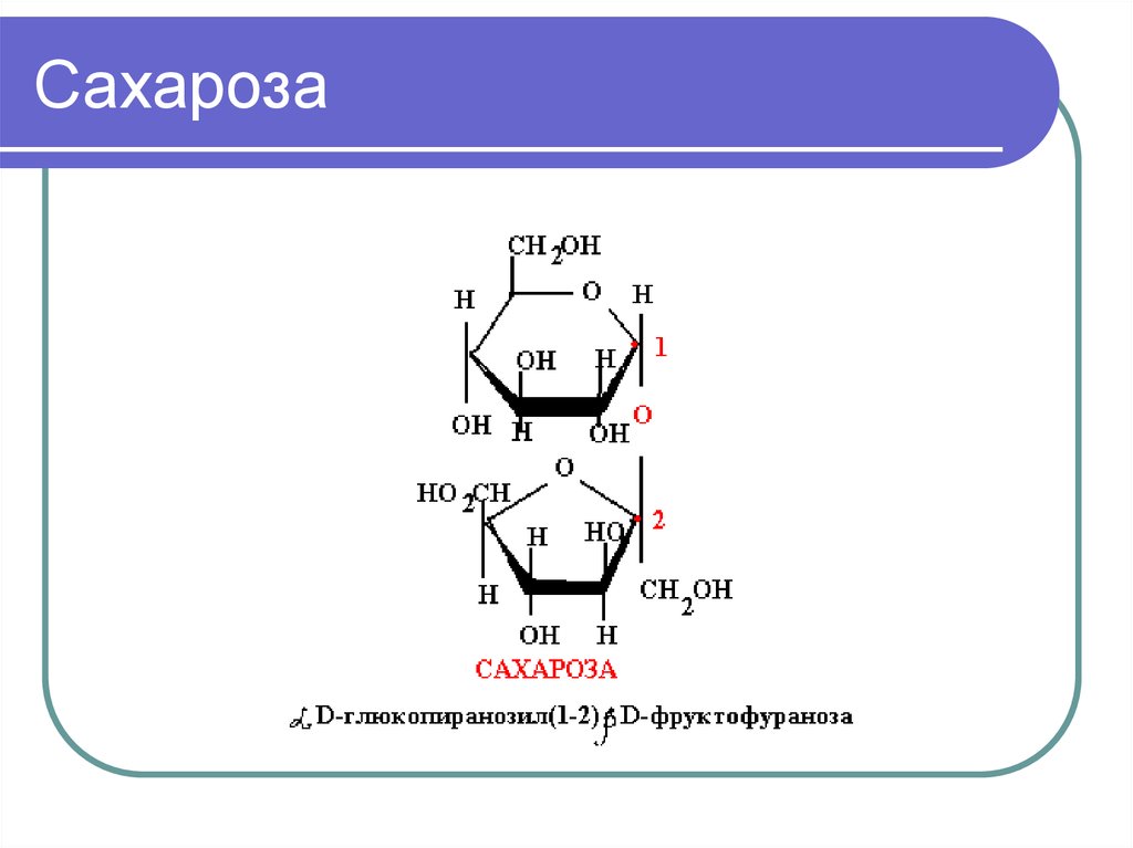 Картинки из геншина сахароза