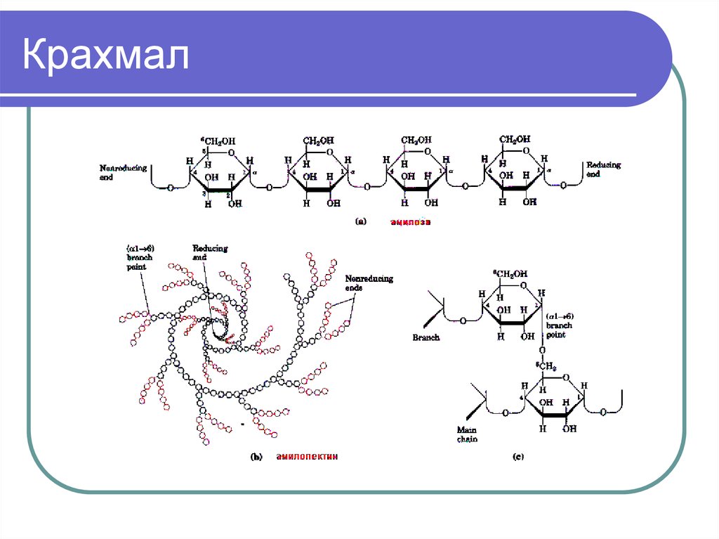 Крахмал формула. Крахмал формула химическая. Крахмал структурная формула линейная. Формула крахмала в химии. Структурная формула молекулы крахмала.
