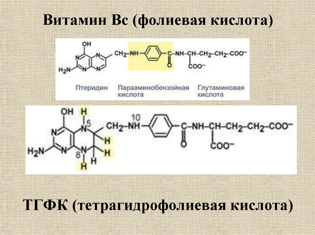 Названия фолиевой кислоты. Тетрагидрофолиевая кислота активная форма витамина в9. Тетрагидрофолиевая кислота кофермент. Фолиевая кислота формула тетрагидрофолиевая. ТГФК кофермент витамина.