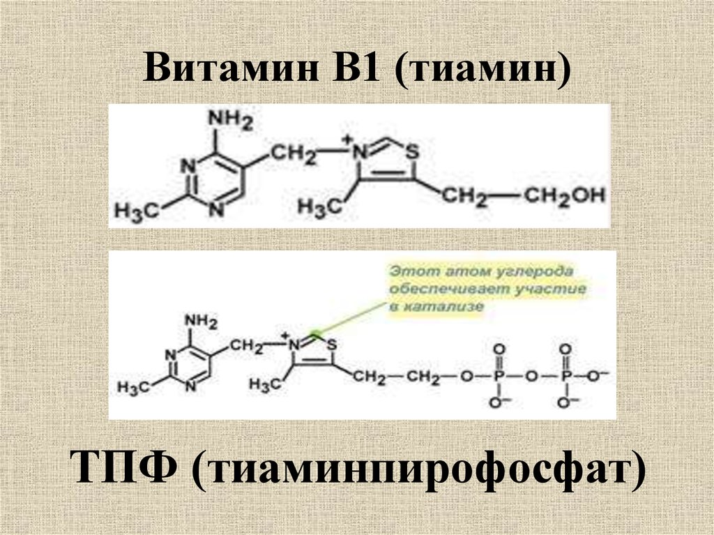Формула спорит. Витамин б1 кофермент. Витамин b1 тиамин формула. Тиаминпирофосфат кофермент. Тиамин в1 формула.