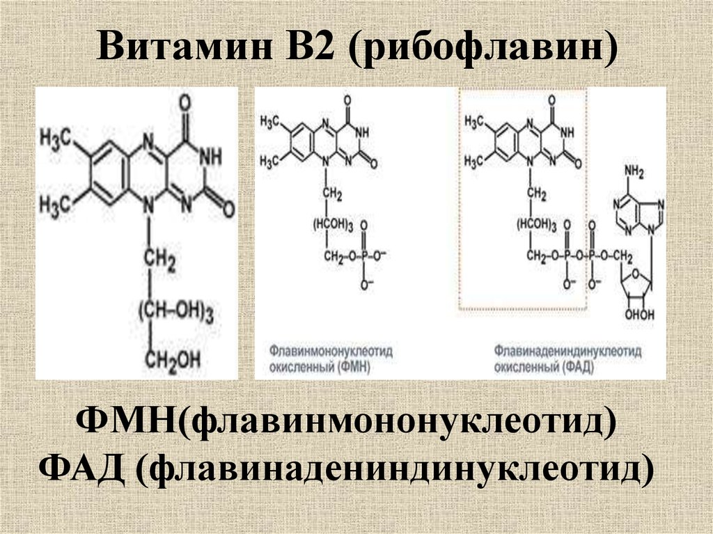 Схема витаминов группы б