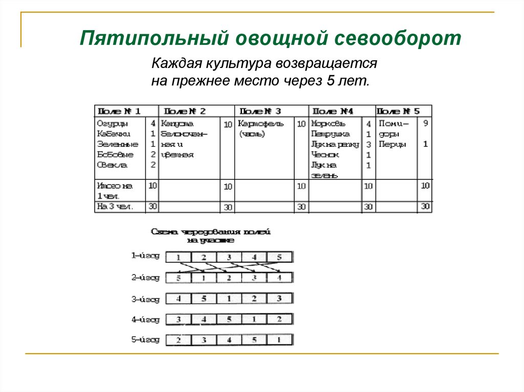 Что такое схема севооборота