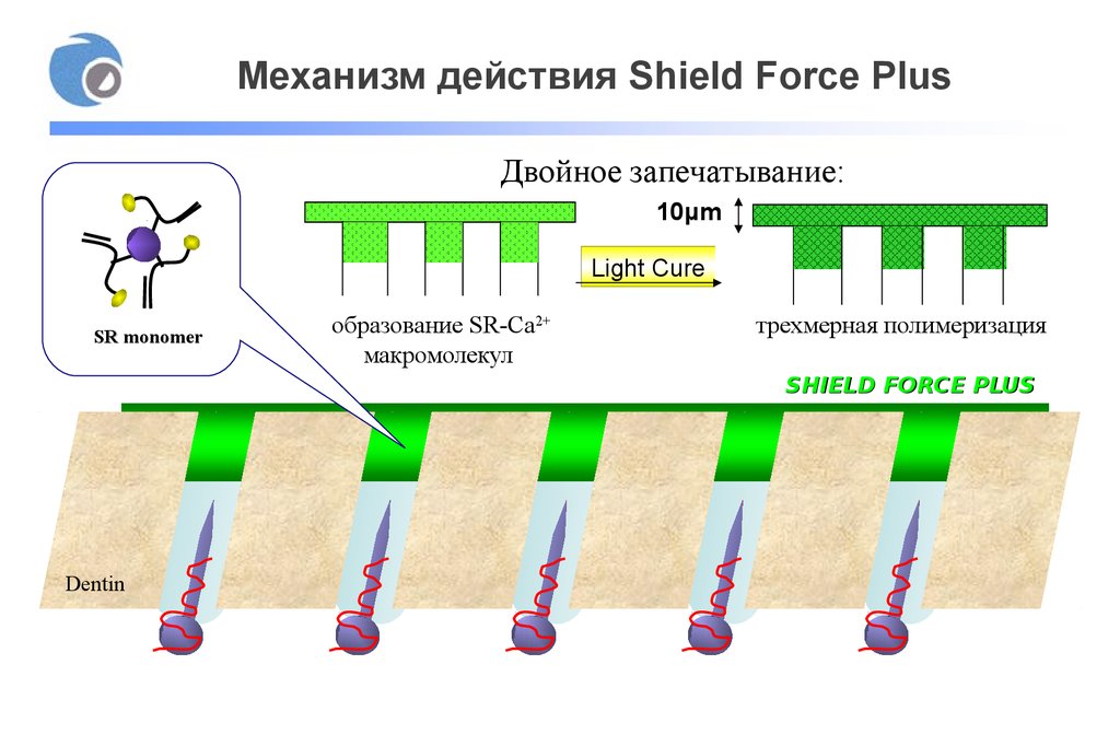 Механизм действия Shield Force Plus