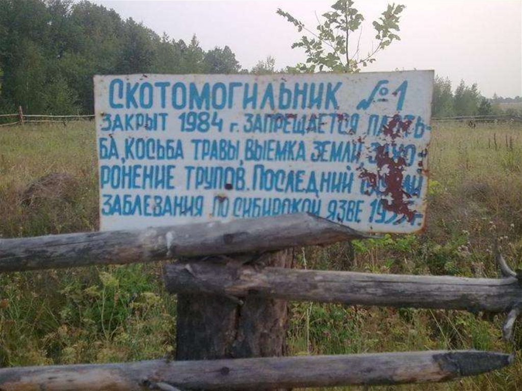 дунькина гора конаково