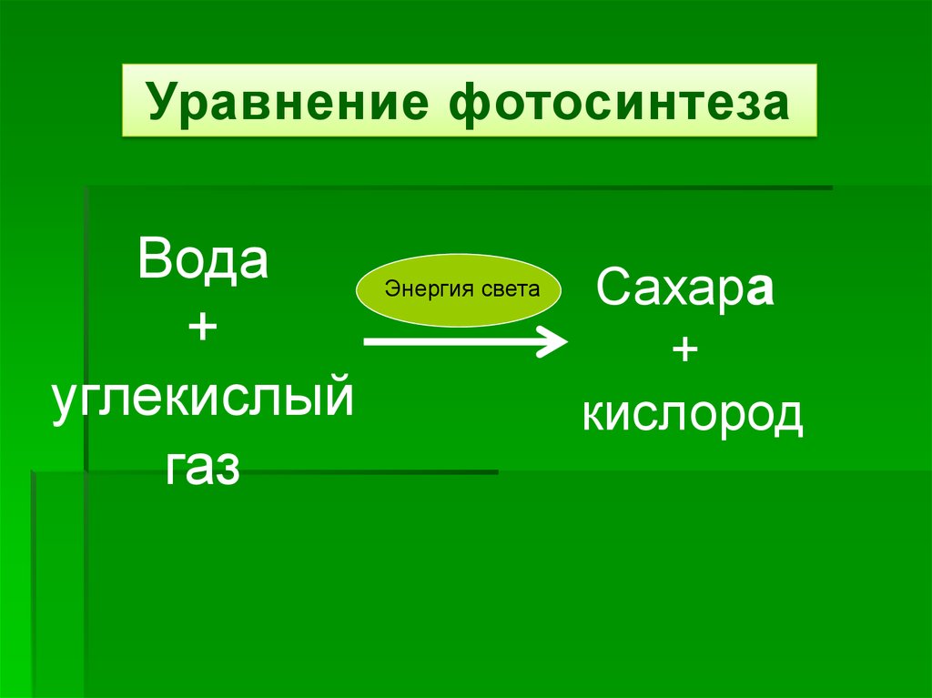 Фотосинтез презентация. Формула фотосинтеза 6 класс. Процесс фотосинтеза формула. Фотосинтез уравнение фотосинтеза. Итоговое уравнение фотосинтеза.