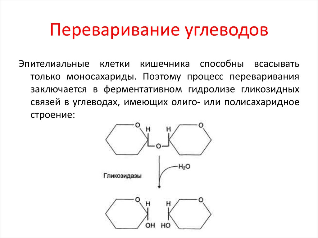 Углеводы биохимия