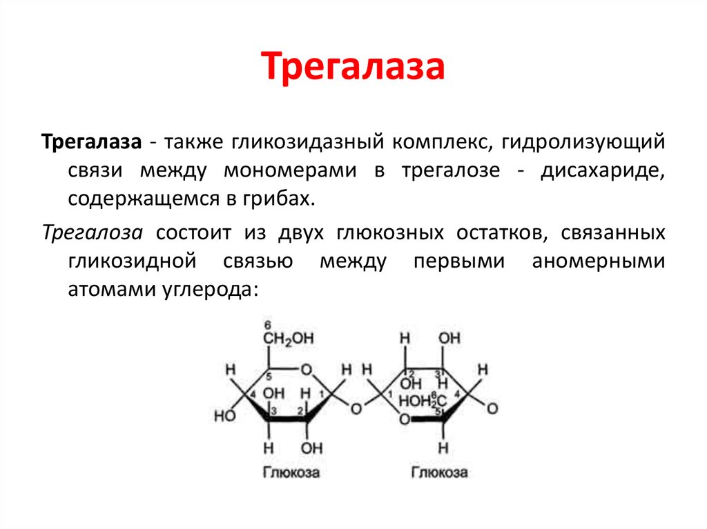 Схема синтеза трегалозы