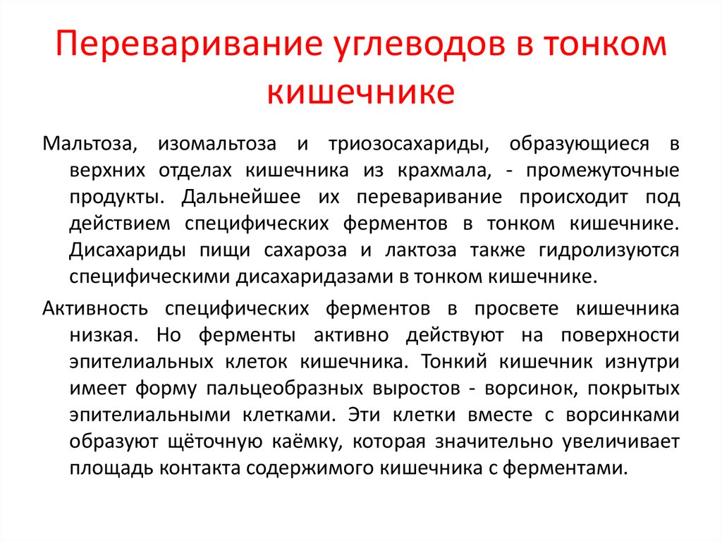 В переваривании углеводов участвуют ферменты. Переваривание углеводов. Переваривание углеводов тонкой кишке. Переваривание углеводов биохимия. Переваривание полисахаридов биохимия.