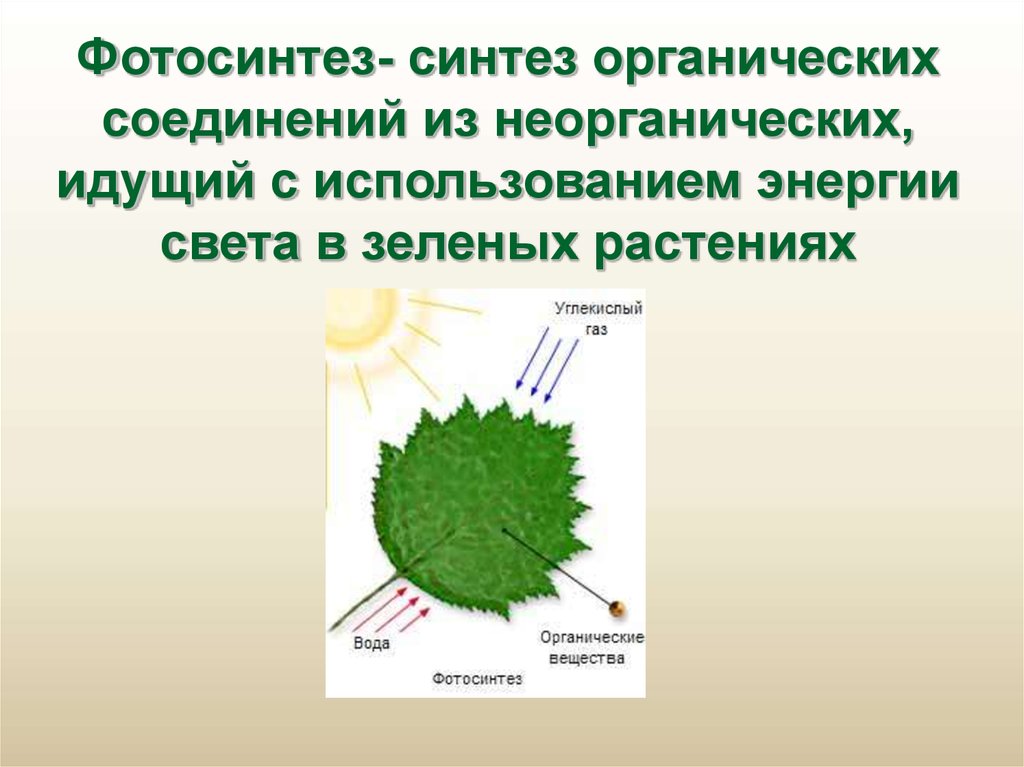 Первичное органическое вещество. Синтез органических веществ. Синтез органических из неорганических. Синтез органических веществ из неорганических. Первичный Синтез органических веществ.