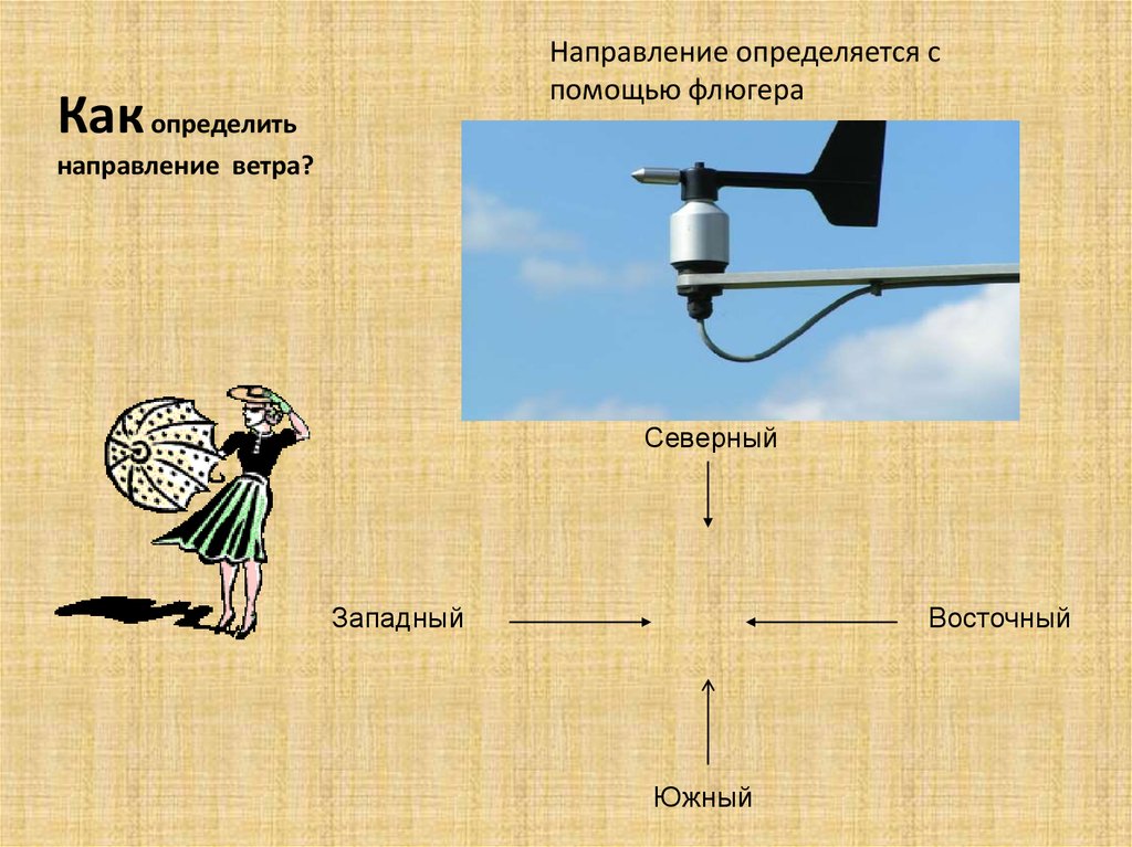 Прибор с помощью которого определяют направление. Флюгер направление ветра. Как определить направление ветра по флюгеру. Определение направления ветра. Флюгер для определения направления ветра.
