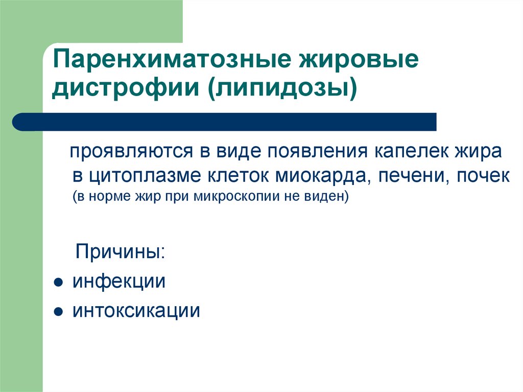 Паренхиматозная жировая дистрофия. Паренхематозные жировые дистрофия. Как проявляются паренхиматозные жировые дистрофии. Паренхиматозные дистрофии липидозы. Паренхиматозные жировые дистрофии липидозы.