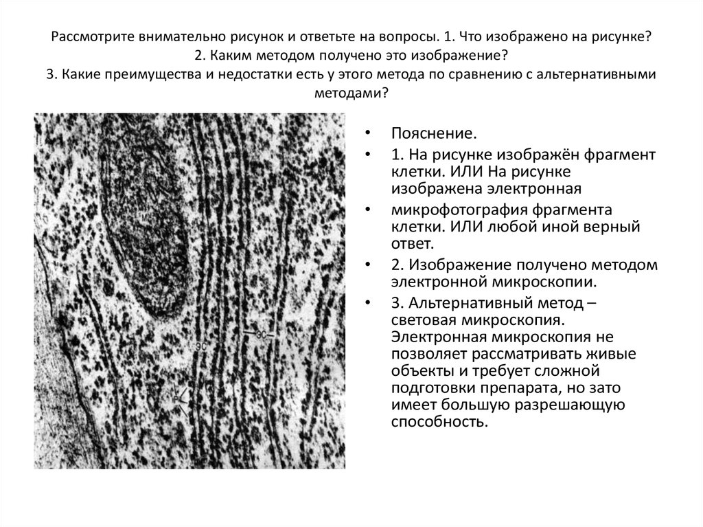 Рассмотрите внимательно рисунок и ответьте на вопросы