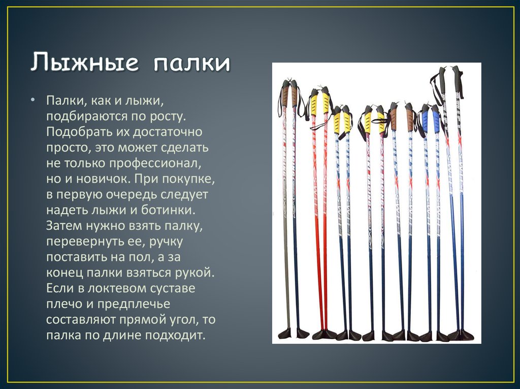 Возьми палочку. Разновидности лыж. Строение лыж и палок. Лыжи и палки. Лыжи и палки подбираются по.