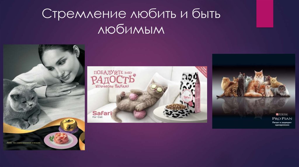 Стремление любить и быть любимым