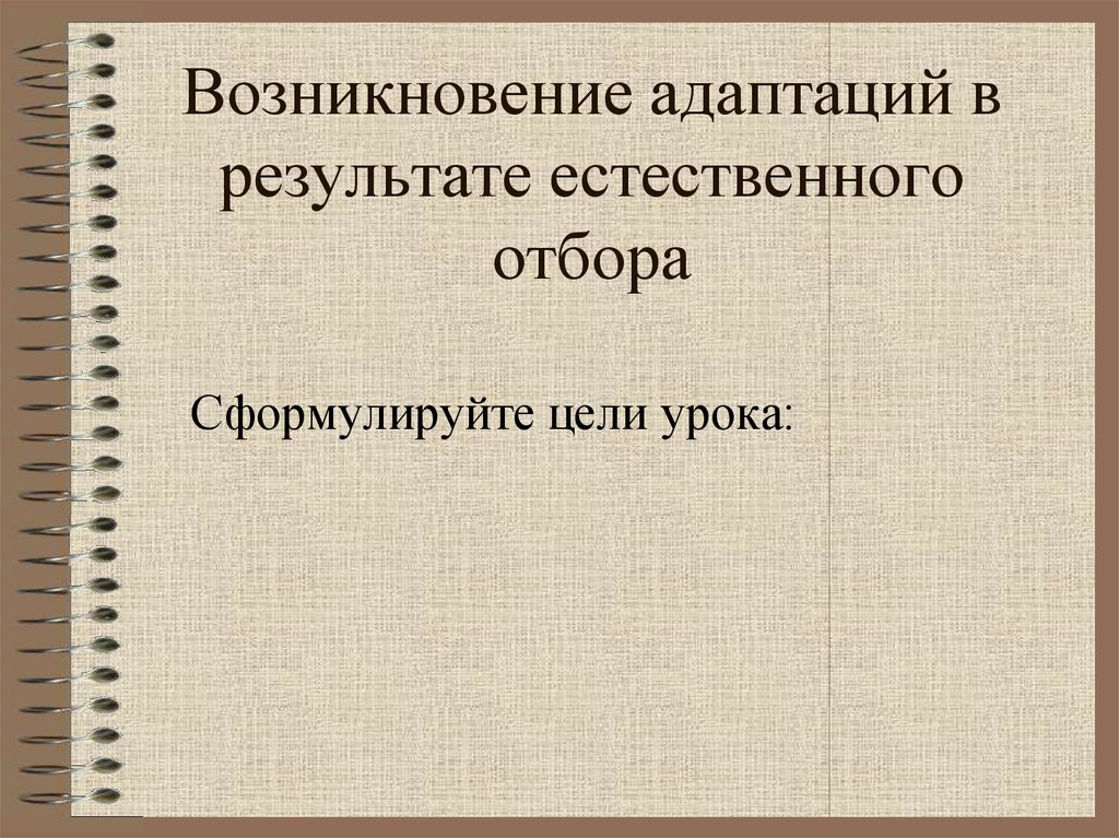 Адаптация как результат естественного отбора презентация