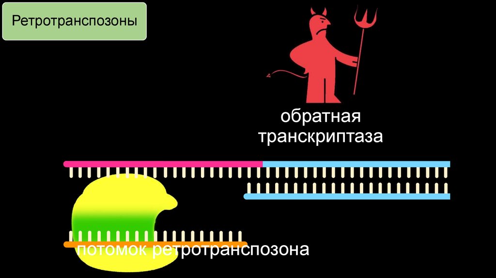 Обратную транскриптазу содержат