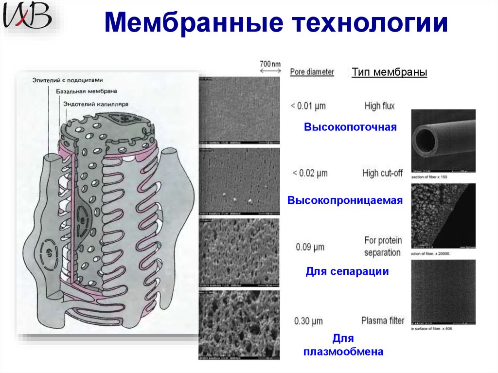 Использованная мембрана. Мембраны и мембранные технологии. Мембранные технологии схема. Мембраны и мембранные процессы. Производство мембран.