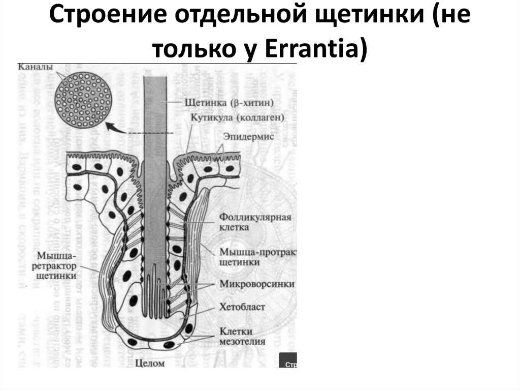 Отдельное строение