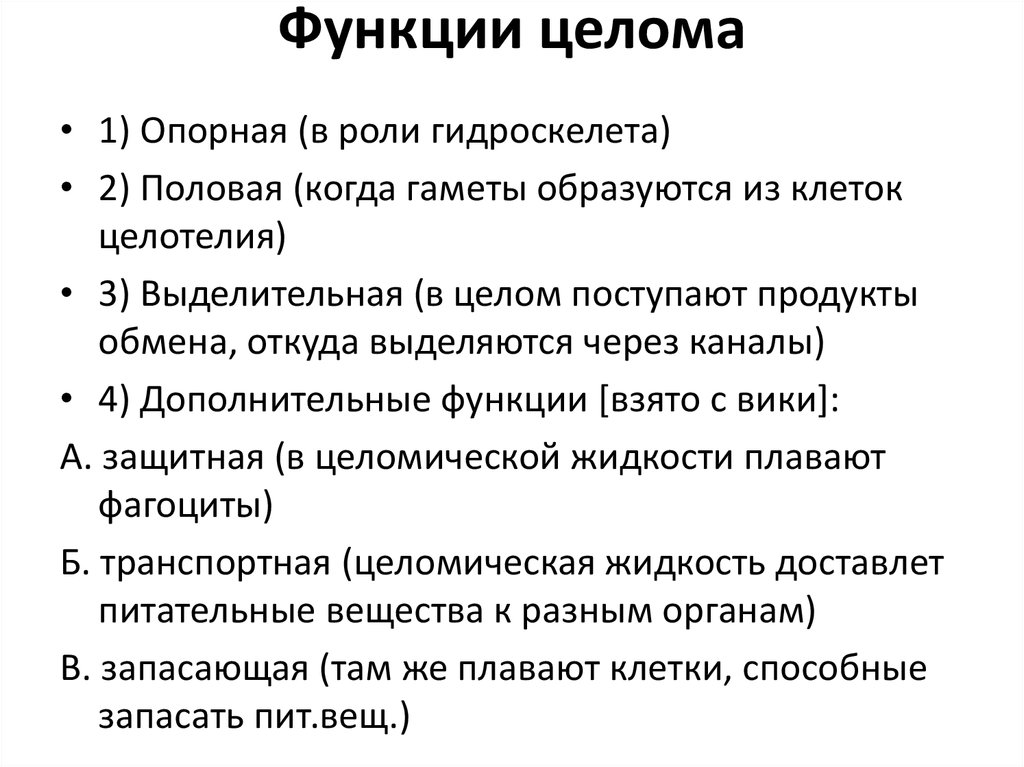 Какую функцию выбрать. Функции целома полихет. Функции целома. Целом функции. Роль целома.