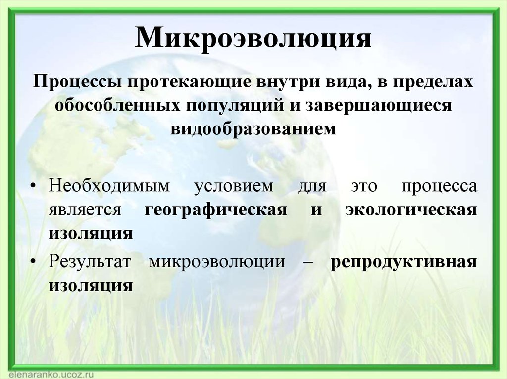 Для эволюции имеет значение. Понятие о микроэволюции. Микроэволюция процессы. Микроэволюция основные понятия. Понятие микроэволюция.