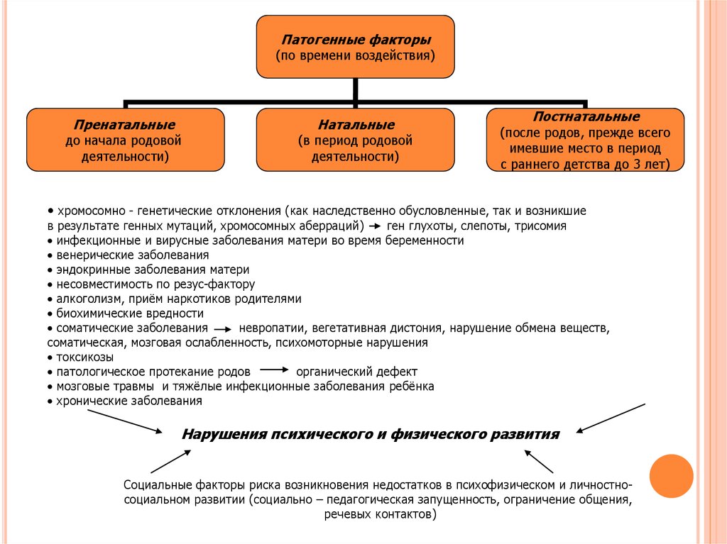 Организация