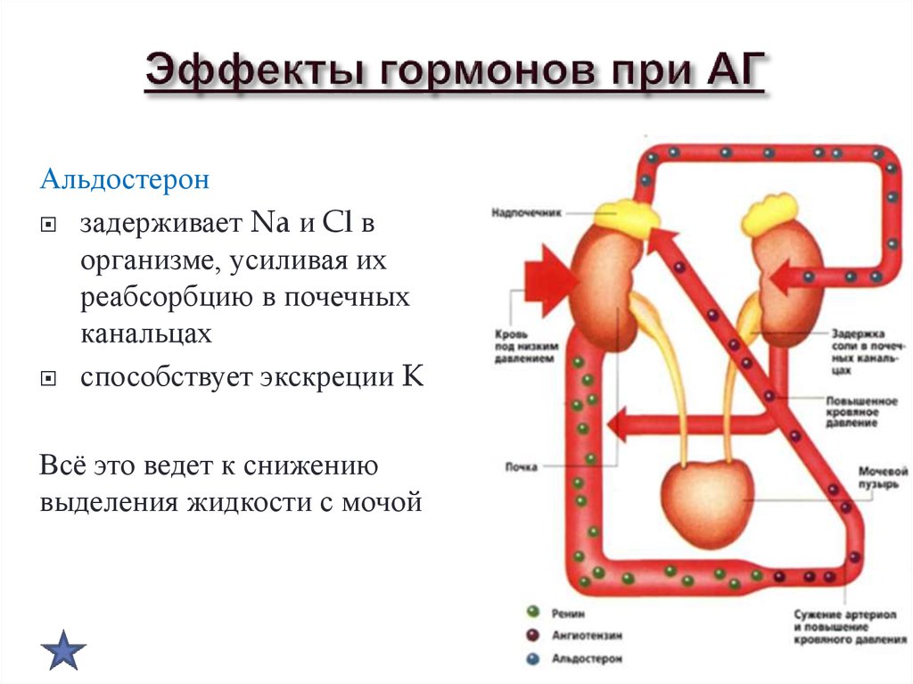 Гормоны при артрите