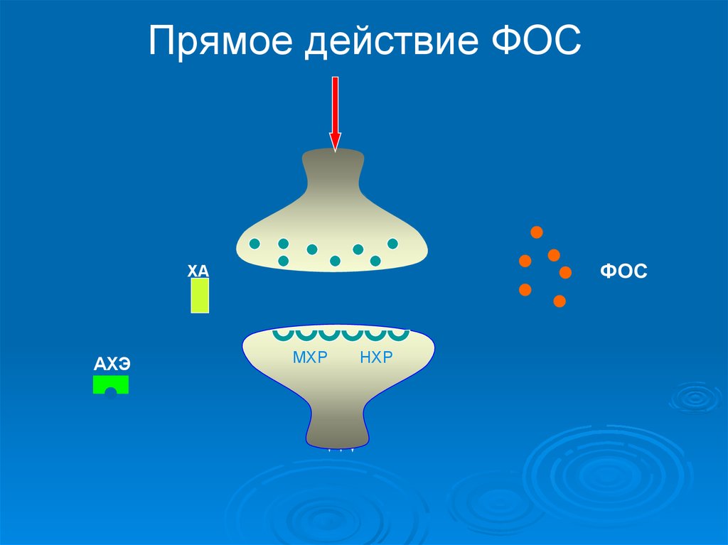 Прямое действие. Прямое действие Фос.