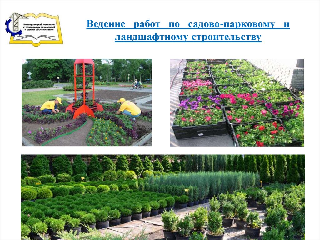 Садово парковое и ландшафтное. Ведение работ по садово-парковому и ландшафтному строительству. Услуги садово паркового и ландшафтного строительства. Задание садово Парковое и ландшафтное строительность. Рынок услуг садово-паркового и ландшафтного строительства.