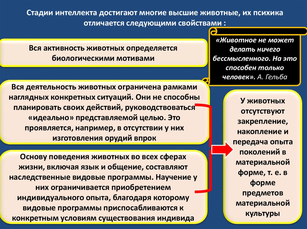 Чем психика человека отличается от психики животного